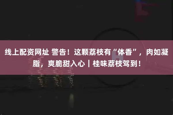 线上配资网址 警告！这颗荔枝有“体香”，肉如凝脂，爽脆甜入心｜桂味荔枝驾到！